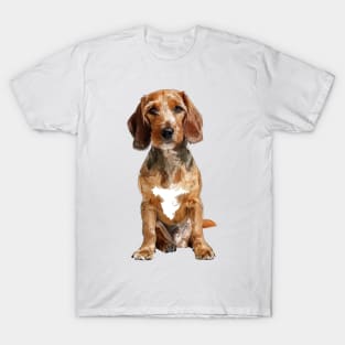 Basset Fauve de Bretagne T-Shirt